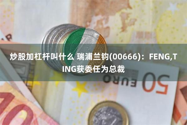 炒股加杠杆叫什么 瑞浦兰钧(00666)：FENG,TING获委任为总裁