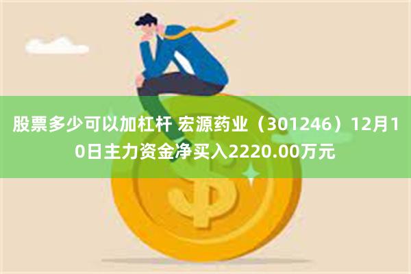 股票多少可以加杠杆 宏源药业（301246）12月10日主力资金净买入2220.00万元