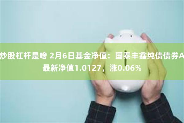 炒股杠杆是啥 2月6日基金净值：国泰丰鑫纯债债券A最新净值1.0127，涨0.06%