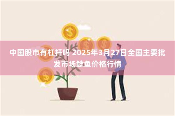 中国股市有杠杆吗 2025年3月27日全国主要批发市场鲶鱼价格行情