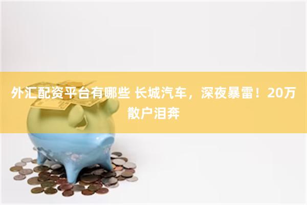 外汇配资平台有哪些 长城汽车，深夜暴雷！20万散户泪奔