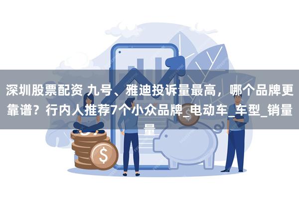 深圳股票配资 九号、雅迪投诉量最高，哪个品牌更靠谱？行内人推荐7个小众品牌_电动车_车型_销量