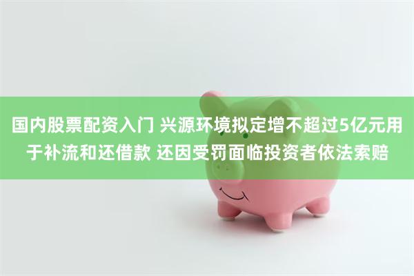 国内股票配资入门 兴源环境拟定增不超过5亿元用于补流和还借款 还因受罚面临投资者依法索赔