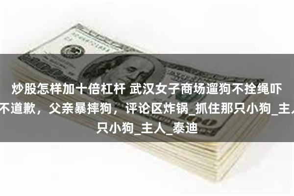 炒股怎样加十倍杠杆 武汉女子商场遛狗不拴绳吓哭小孩不道歉，父亲暴摔狗，评论区炸锅_抓住那只小狗_主人_泰迪