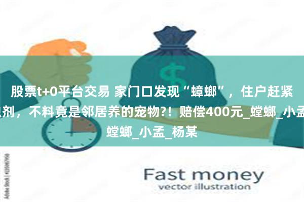 股票t+0平台交易 家门口发现“蟑螂”，住户赶紧喷杀虫剂，不料竟是邻居养的宠物?！赔偿400元_螳螂_小孟_杨某