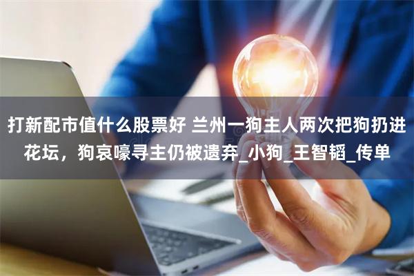 打新配市值什么股票好 兰州一狗主人两次把狗扔进花坛，狗哀嚎寻主仍被遗弃_小狗_王智韬_传单
