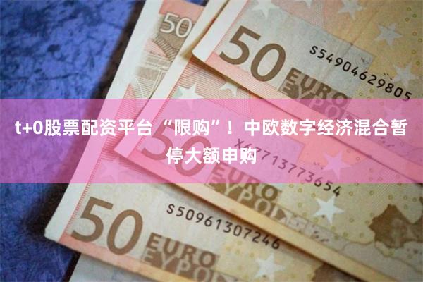 t+0股票配资平台 “限购”！中欧数字经济混合暂停大额申购